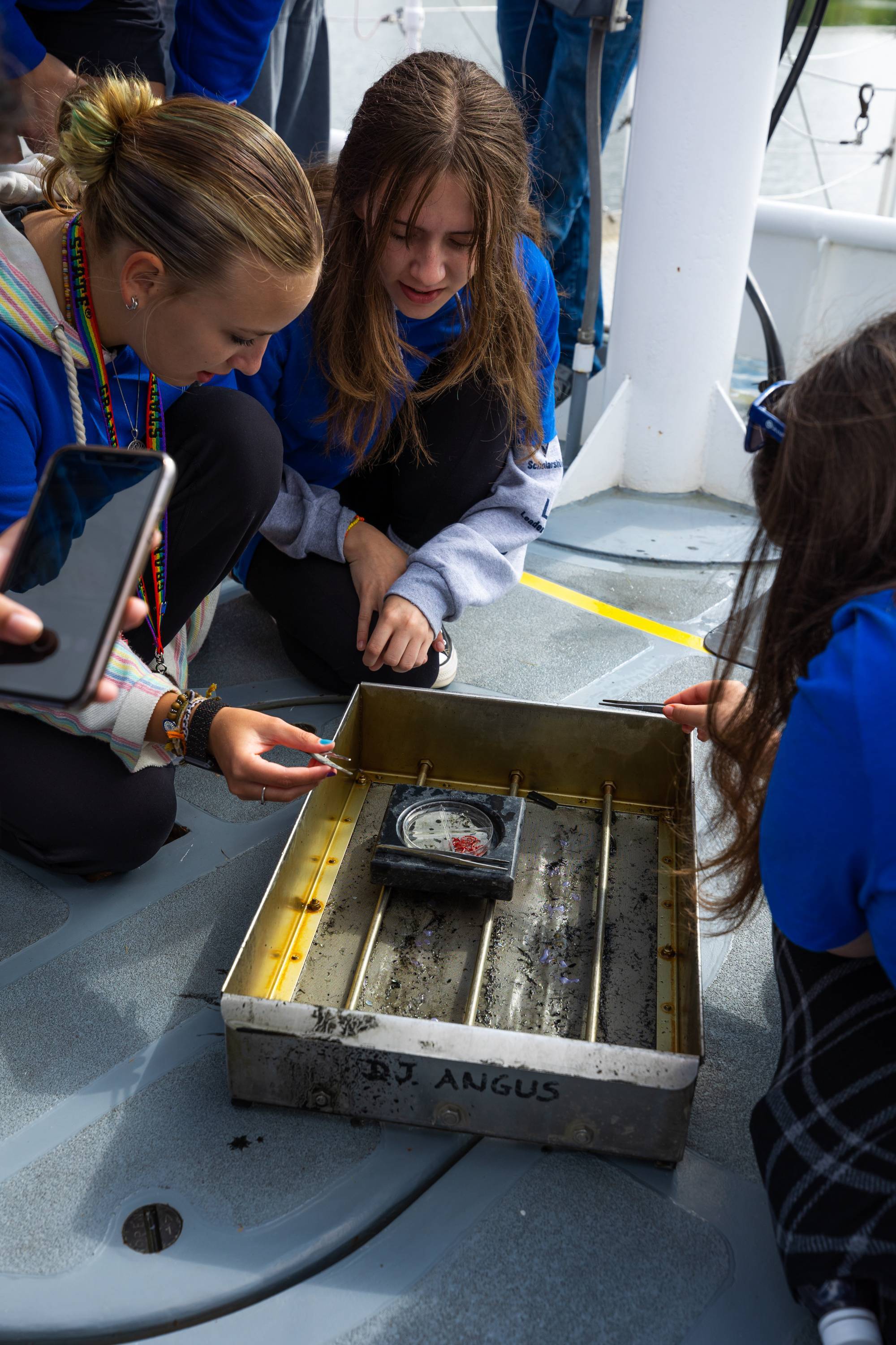Students sort benthic macroinvertebrates gathered from the bottom of a lake